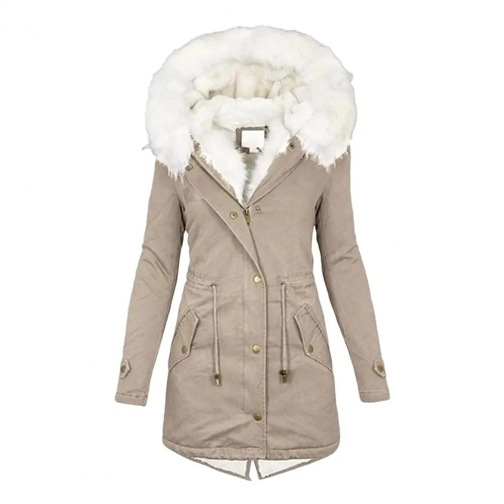 Winter-arctic