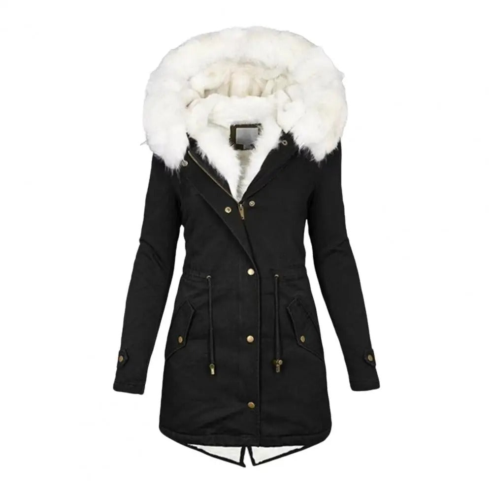 Winter-arctic