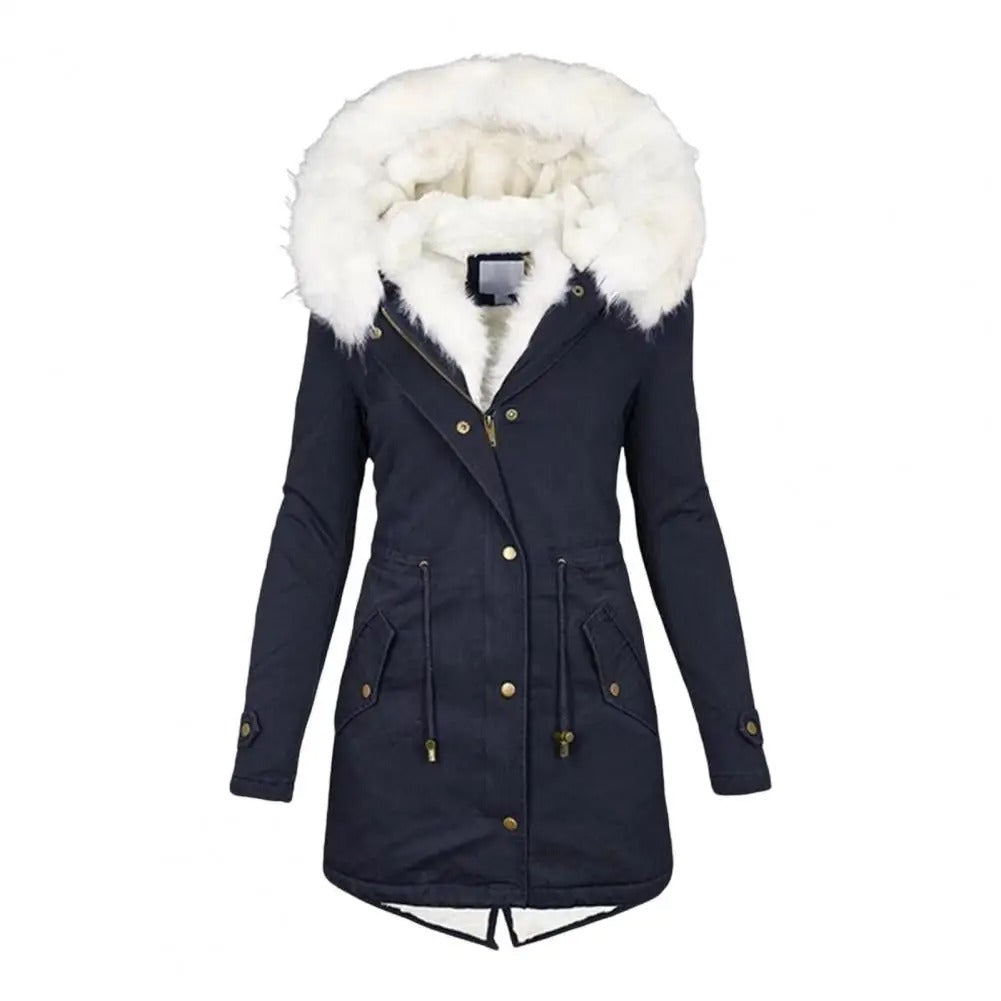 Winter-arctic